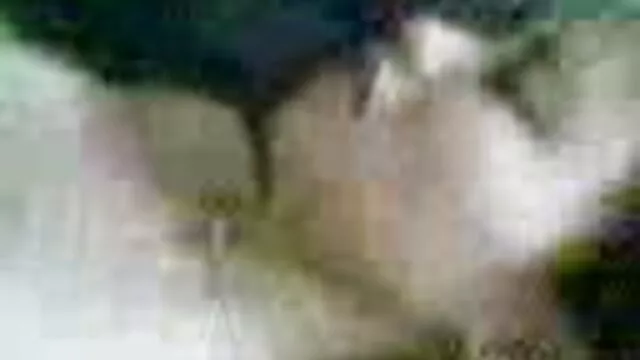 スペインのコック二sluts積とともに欲望一尾 女性 用 動画 無料