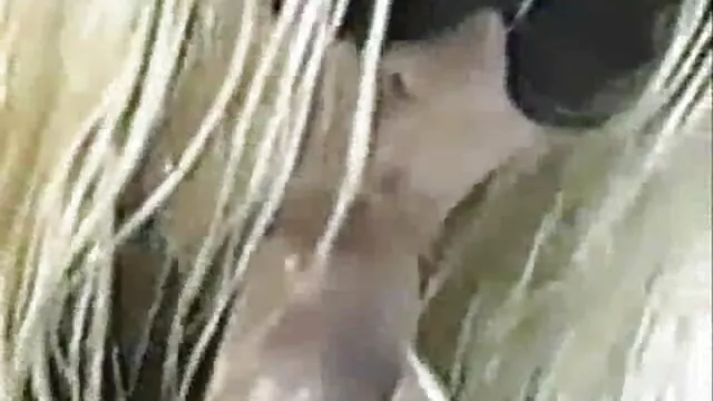 六十年彼は台無しに方法を参照してください 無料 動画 エロ 女性 向け