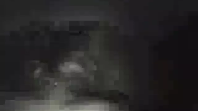森の中の友人の中には四つのドライアイがあります。 女性 エロ 安心