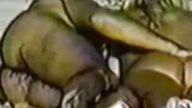 レズビアンを楽しむ性 エロ 女 の 動画